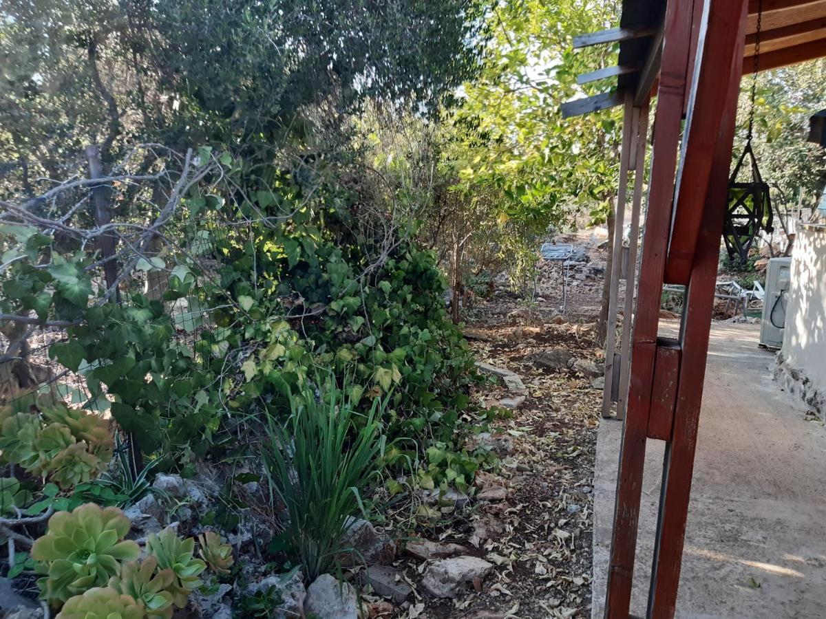 בקתת עץ בחורש במנות - דום גיאודזי - Wooden Cabin In Manot エクステリア 写真
