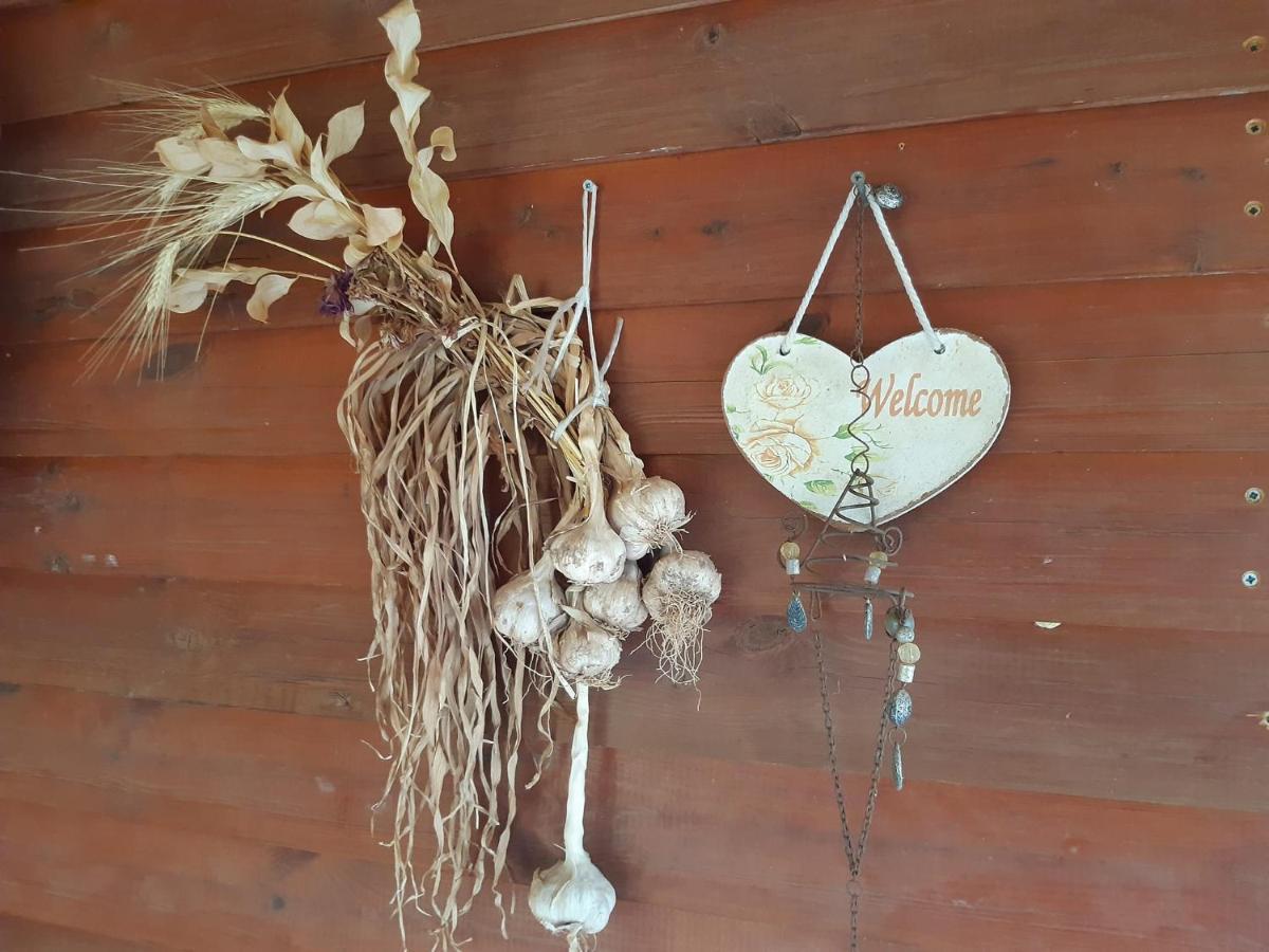בקתת עץ בחורש במנות - דום גיאודזי - Wooden Cabin In Manot エクステリア 写真