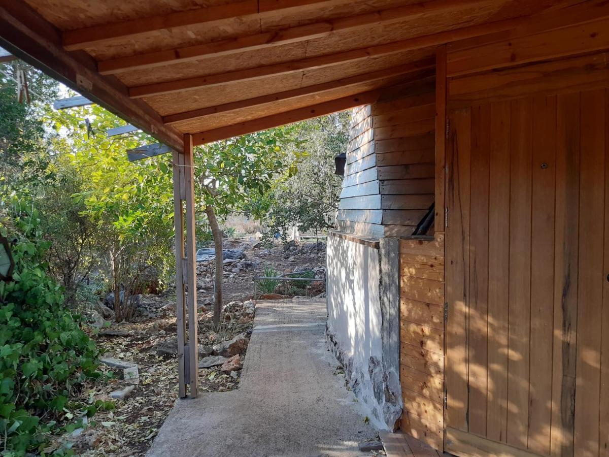 בקתת עץ בחורש במנות - דום גיאודזי - Wooden Cabin In Manot エクステリア 写真