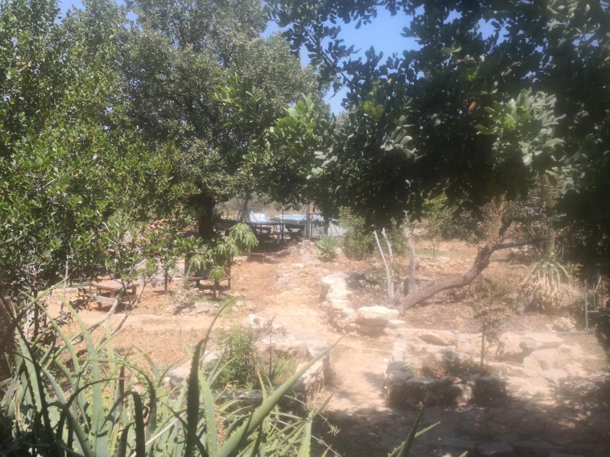 בקתת עץ בחורש במנות - דום גיאודזי - Wooden Cabin In Manot エクステリア 写真