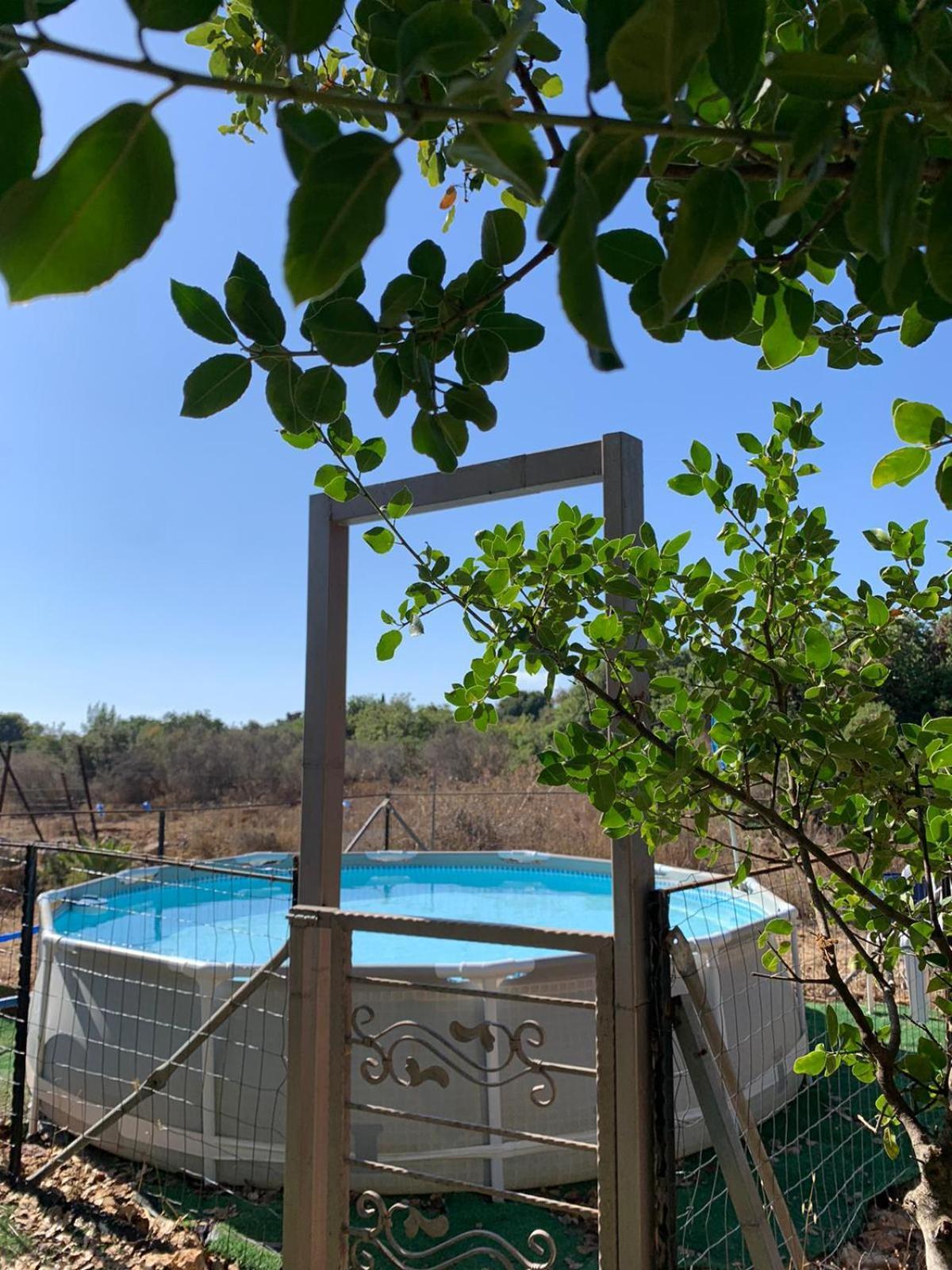 בקתת עץ בחורש במנות - דום גיאודזי - Wooden Cabin In Manot エクステリア 写真