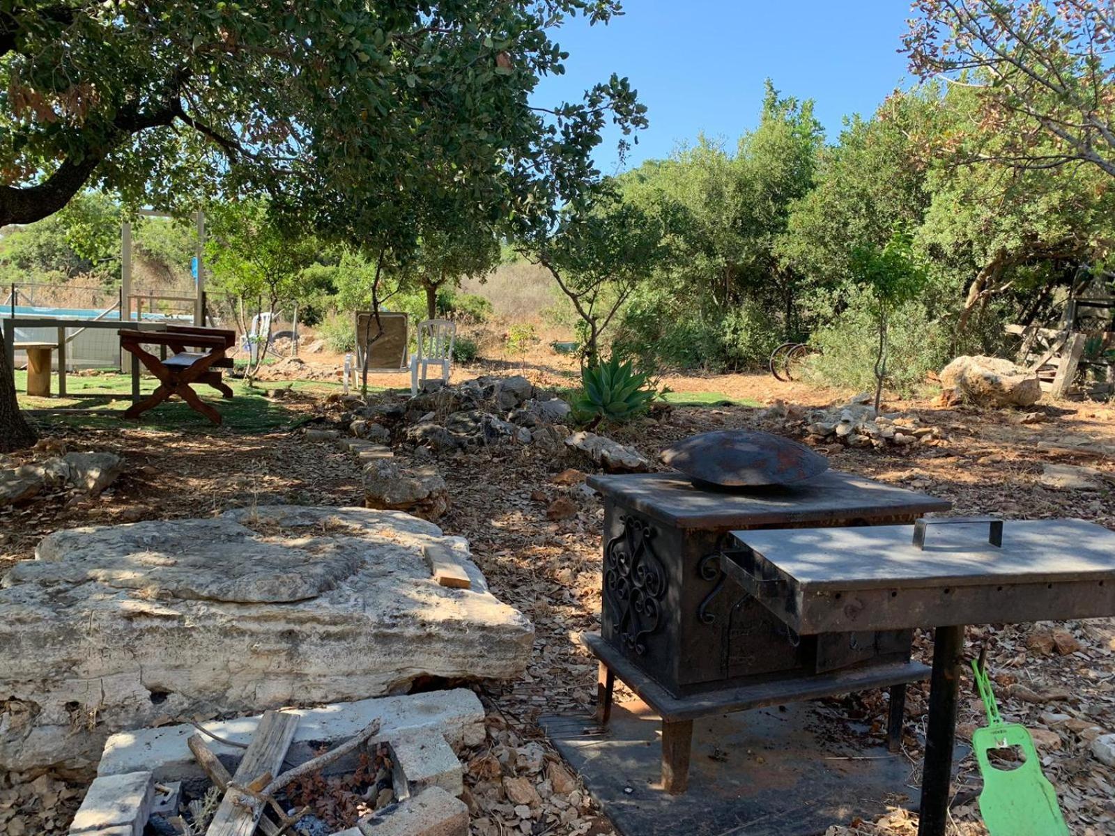 בקתת עץ בחורש במנות - דום גיאודזי - Wooden Cabin In Manot エクステリア 写真