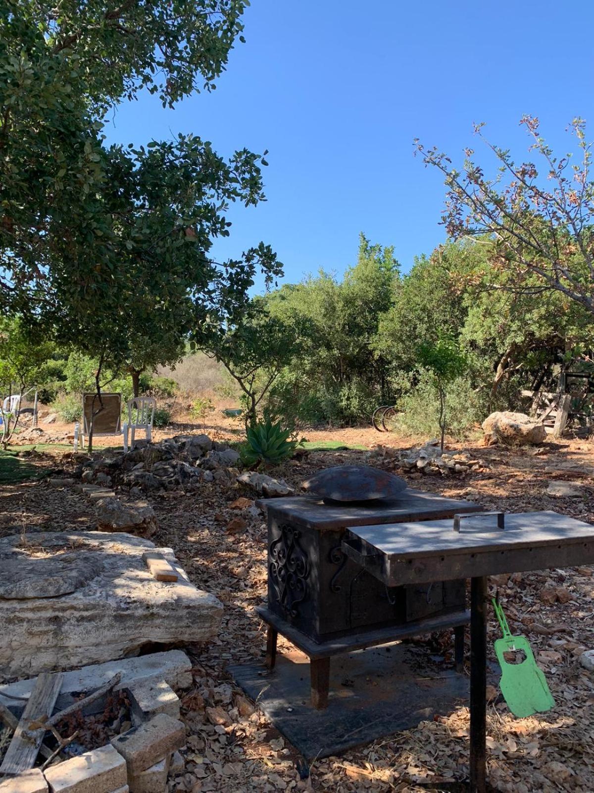 בקתת עץ בחורש במנות - דום גיאודזי - Wooden Cabin In Manot エクステリア 写真